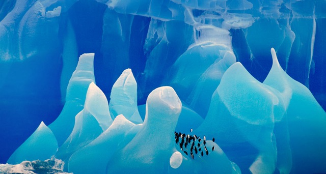 PROVÉRBIO DINAMARQUÊS